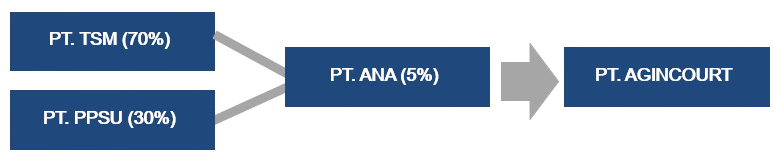 Diagram Investasi PT PPSU